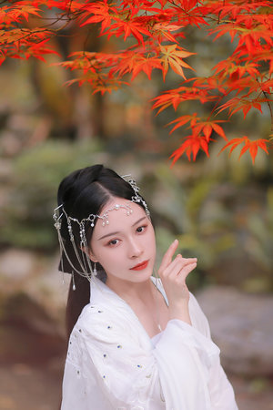 台湾佬在线