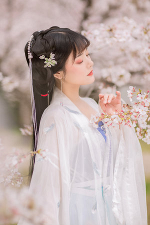 日本理论电线在2020鲁大师