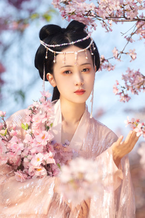 博雅打扑克的全程视频